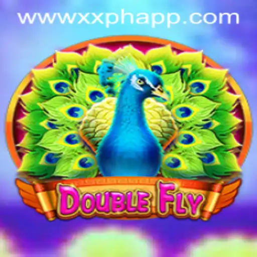 Discover the Thrilling World of DoubleFly: An Innovative Gaming Experience